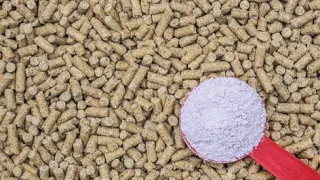 Animal feed with a spoonful of additive powder