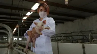 A person holding a piglet