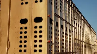 Transportation trailer