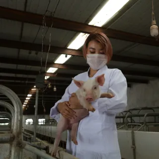A person holding a piglet