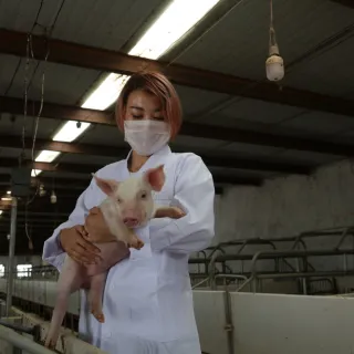 A person holding a piglet