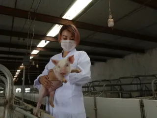 A person holding a piglet